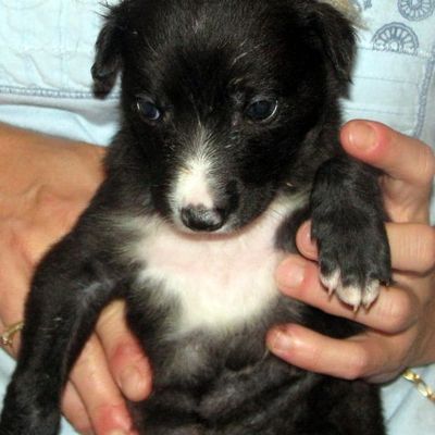 ILS ONT 1 MOIS NOS BB GREYS