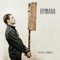 Idriss El Mehdi : Wild Bird