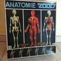 Cu841 : Jeu Anatomie 2000