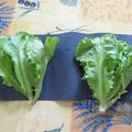 salade à 5 feuilles