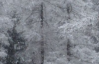 Neige...