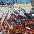Des vélos à Barcelone le 30 avril 2014 (2)