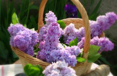 ...Bouquet de Lilas....