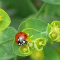 Fera-t-il beau dimanche?