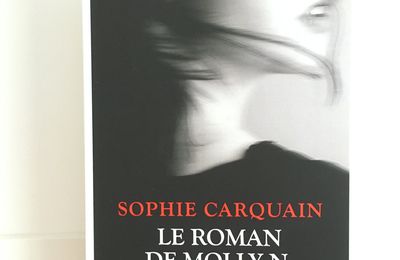 Le roman de Molly N. - Sophie Carquain