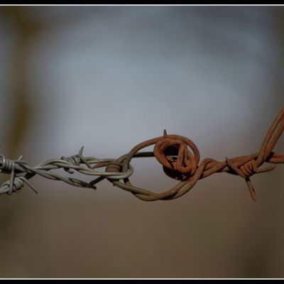 111/365, le 04 Mars 2012