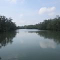 Sungei Buloh Wetland Reserve