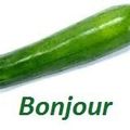 La courgette, légume de saison