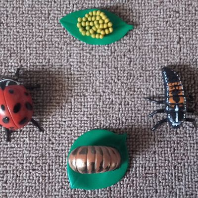 Oups!! Deux années que je n'ai pas posté!