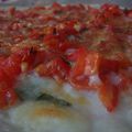 Pizza tomates fraiches, basilic et mozzarella...