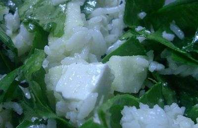 Les salades d'hiver - l'épinard