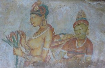 Les demoiselles de Sigiriya (Sri Lanka) 2