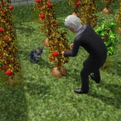 09 : Chapitre un peu court !