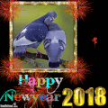 Bonne année 2018