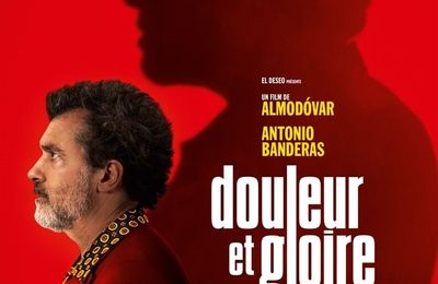 "Douleur et Gloire" de Pedro Almodóvar : le premier désir...