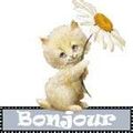 Un minou d'Aude