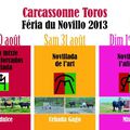 Carcassonne 2013