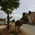 Images d'ailleurs: Dakar