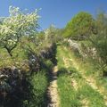 Chemin au pied des Pierres Jaumâtres