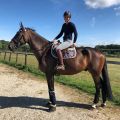 Décès d'une cavalière au Haras-du-Pin: la Normandie du cheval est en deuil...