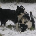 Quel plaisir de jouer dans la neige !