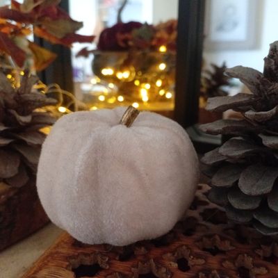 ☬   MULADHARA OU NOS RACINES   ☬