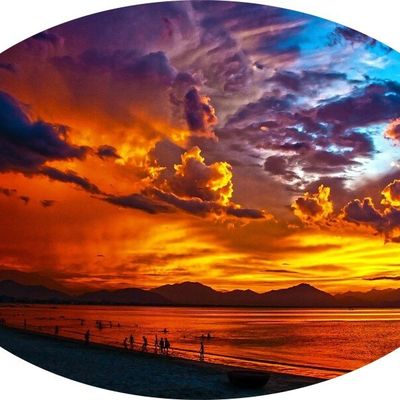 Peut-t'on dérégler l'horloge interne des animaux avec la couleur ?