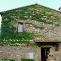 托斯卡尼農莊 Agriturismo Piatina