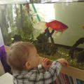 Luka en pleine conversation avec ses poissons