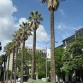 Sacramento Downtown - Capitol Avenue & Park