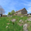 Balade sur le Mont Lozère
