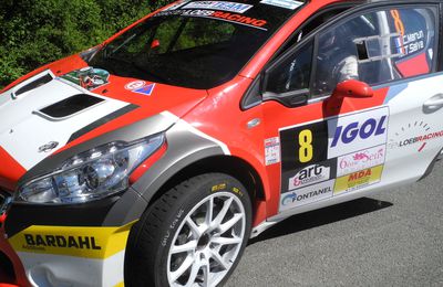 rallye lyon charbonnières 2017 N°8  208   R5 loeb racing 6em