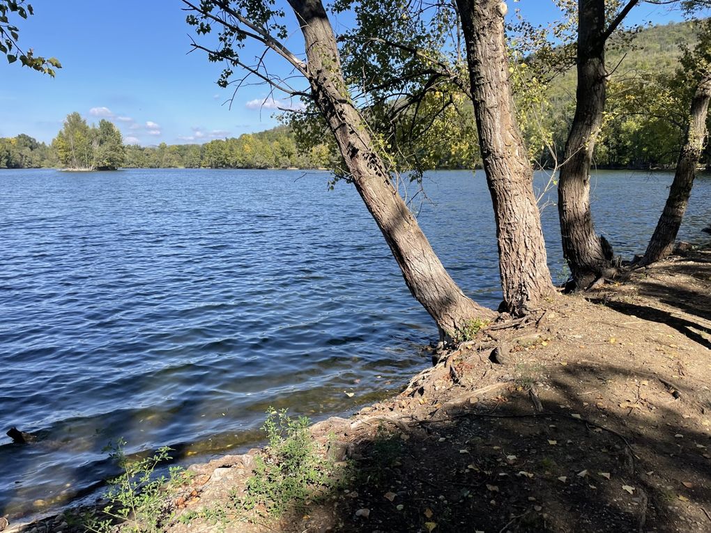 Lundi 06 octobre 2025 ma rando du mercredi 01 oct 2025  : L’“île de Mirefleurs” est une ancienne carrière réaménagée en plan d’eau, proche de la rivière Allier, à Mirefleurs dans le Puy‑de‑Dôme (63 ) Mon diapo au fil de mes pas 