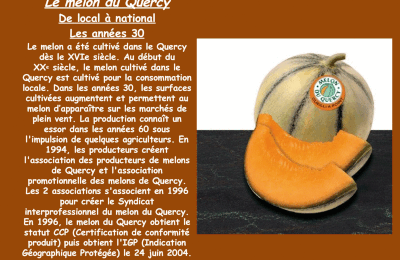 le melon du Quercy, les années 1930
