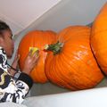 Pumpkin action