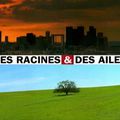 "Des racines et des ailes"  parle de notre territoire !