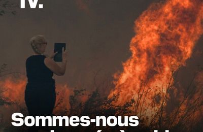 Incendies de forêt : le déni là-aussi !