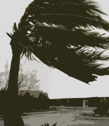 Ouragan, Laurent Gaudé