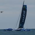 ROUTE du RHUM Arrivée à Saint-Malo de François Gabart sur Macif