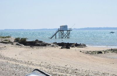 Excursion à l'île d'Aix (Charente-maritime) le 20 avril 2017 (6)