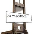 La gayssotine en action