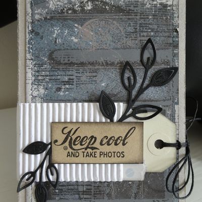 Mini "Keep cool and take photos" ... DT Lorelaï Design