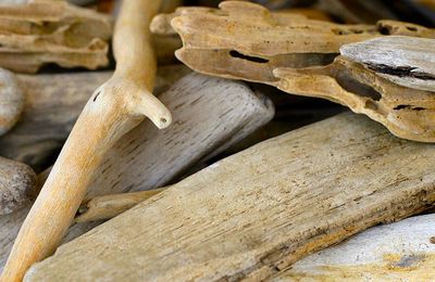 LE LIVRE DE LA SERENITE