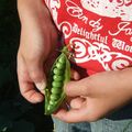 Vos plus belles photos pour le Concours Potager d'aucy