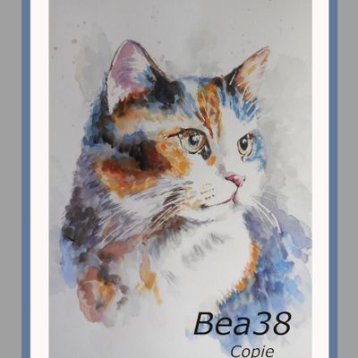 Aquarelle : un chat