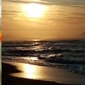 👨‍🌾 Paysagiste Biarritz. Loic BANCE Paysagiste conseils auprès des particuliers.