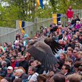 Le vol du condor au PUY DU FOU