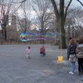 Central Park...