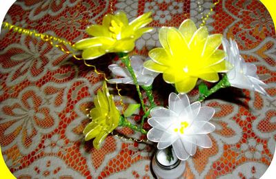 Marguerites (blanc et jaune)