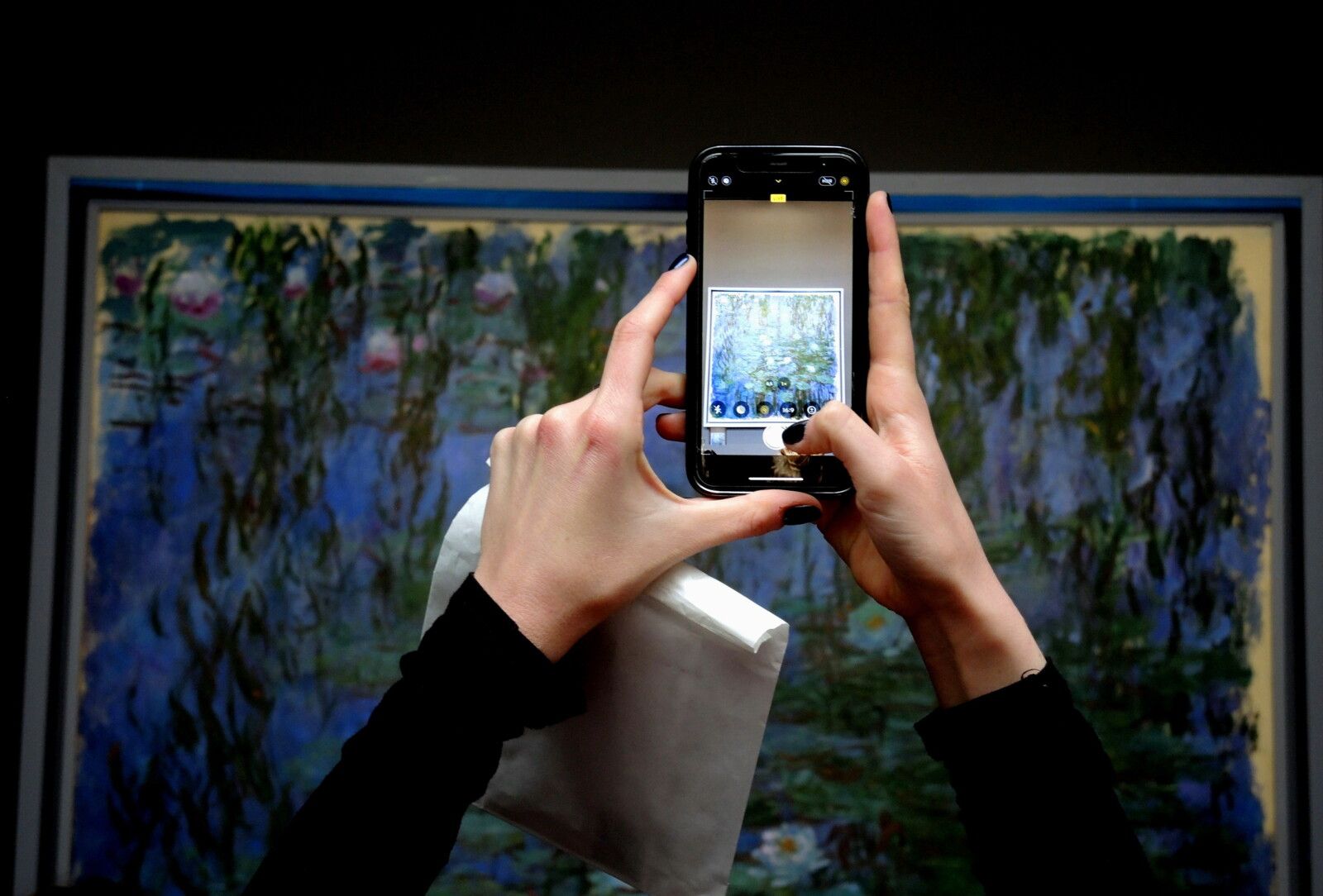 Paris, musée d'Orsay, Les Nymphéas, Claude Monet, smartphone (75)